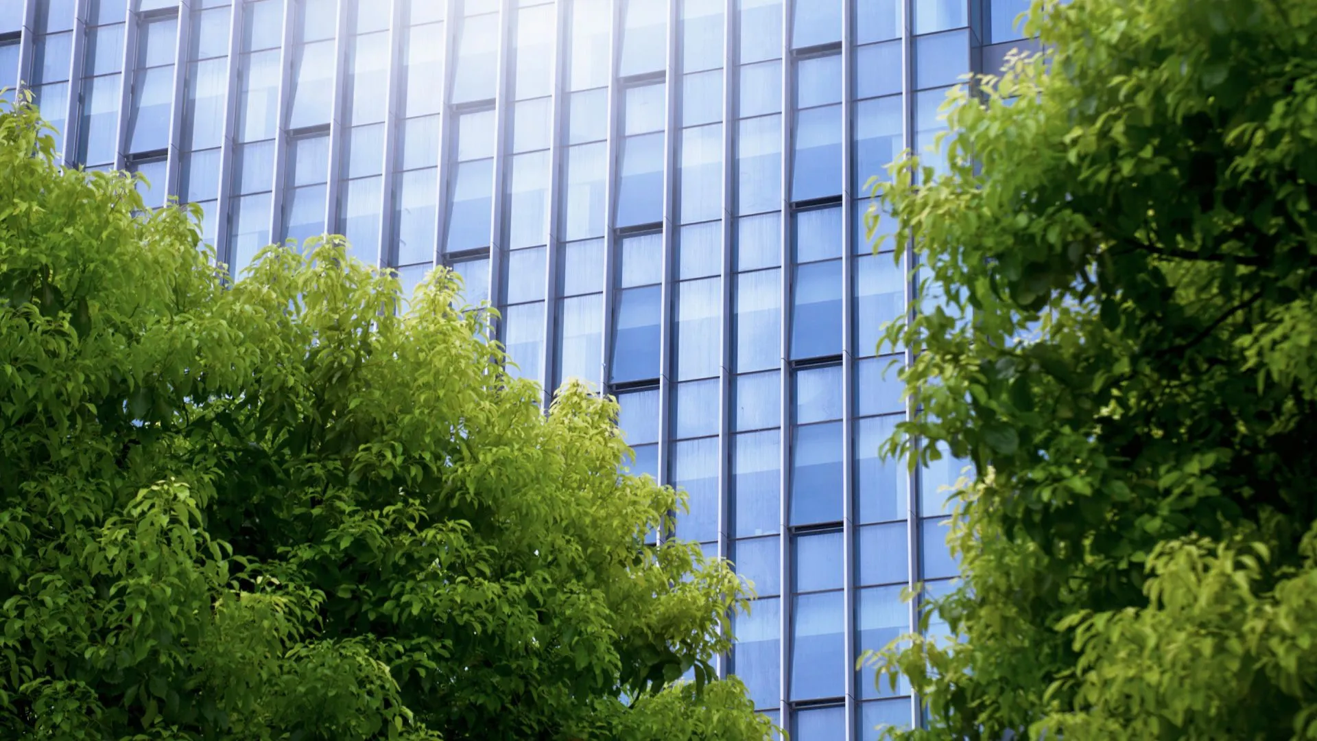 Engagement environnemental | FEHR Group