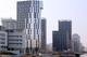 Black Swans| FEHR Group